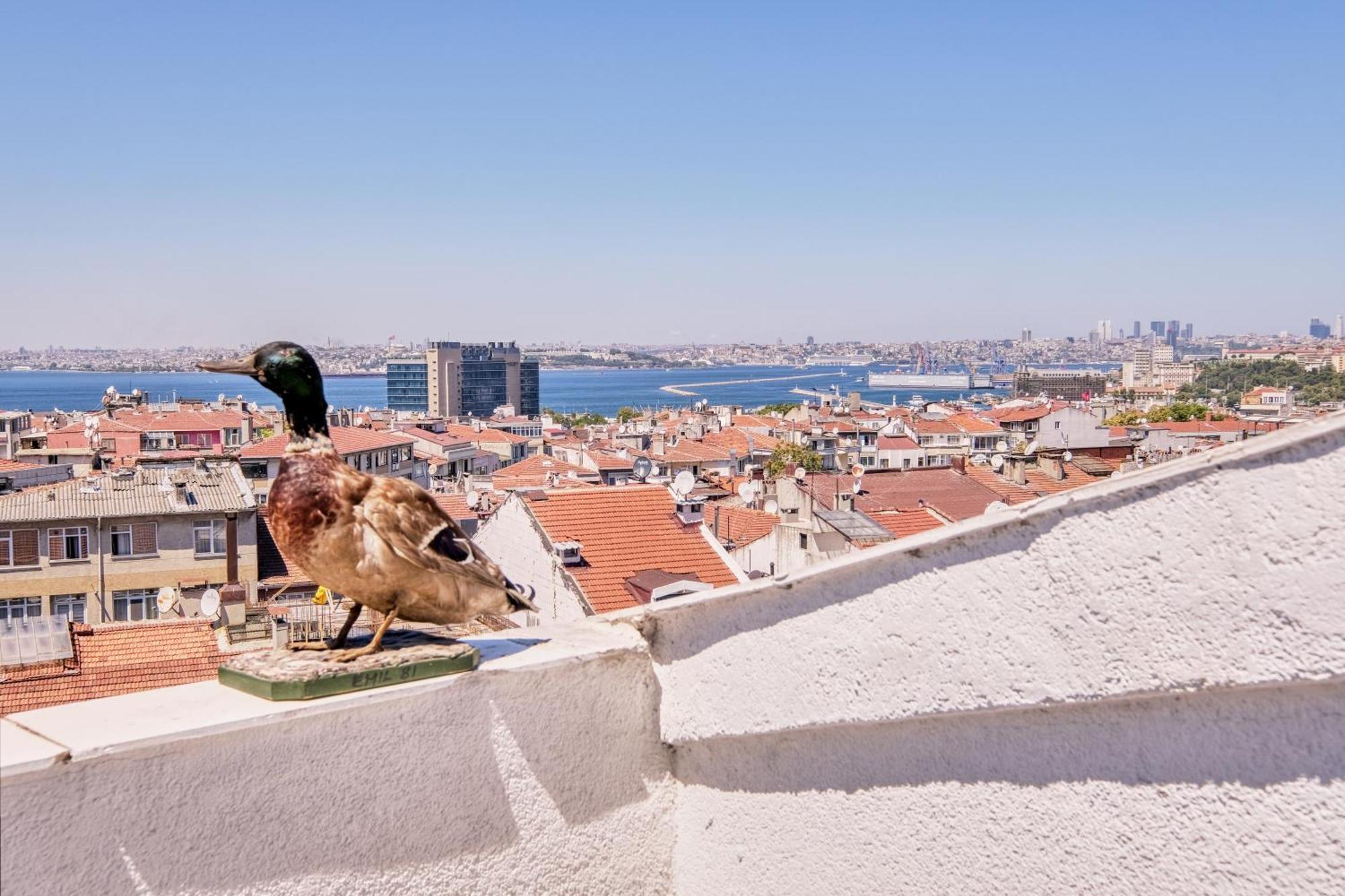 Duck Otel İstanbul Dış mekan fotoğraf